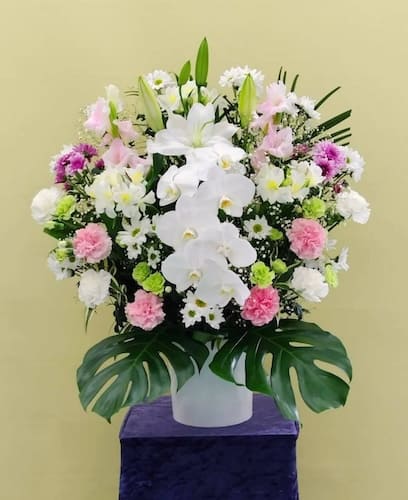 生花B