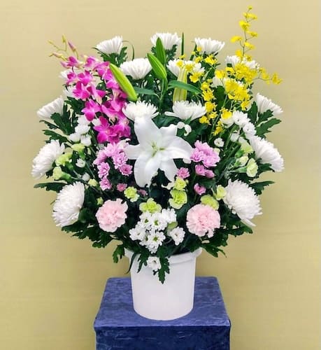 生花C