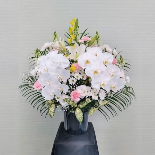 枕花A