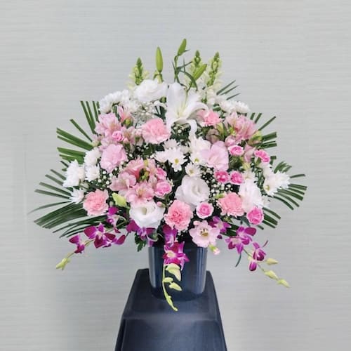 枕花B